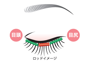 ロッドイメージ